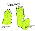 Standard paws.png